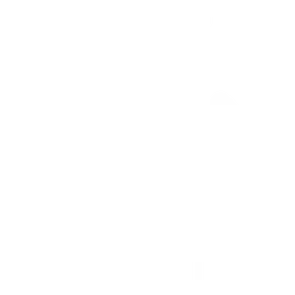 Isshin